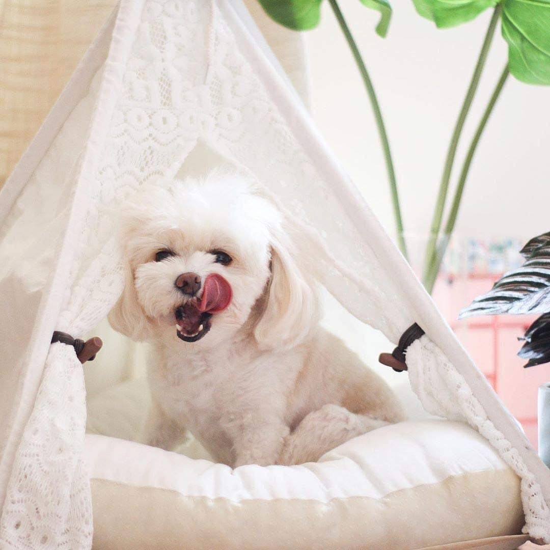 Pet Teepee Dog(Puppy) & Cat Bed - Portable Pet Tents & Houses for Dog(Puppy) & Cat Lace Style 24 Inch with Thick Cushion